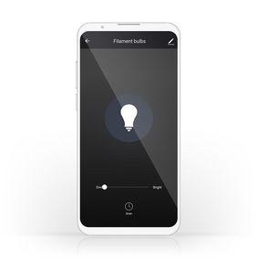 Wi-Fi Smart LED Filament Bulb | E27 | A60 | 5W | 500 lm