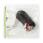 Stereo Audio Cable | 2x RCA Male - 2x RCA Male | 10 m | Black
