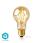 Wi-Fi Smart LED Filament Bulb | E27 | A60 | 5W | 500 lm